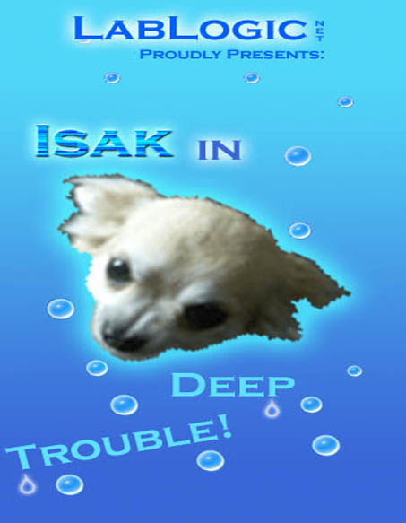 Chihuahua Adventures - Isak in deep trouble
