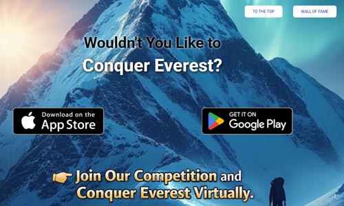 To The Top Now - NETT.PRO